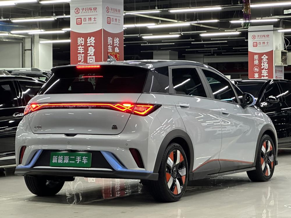 BYD Dolphin