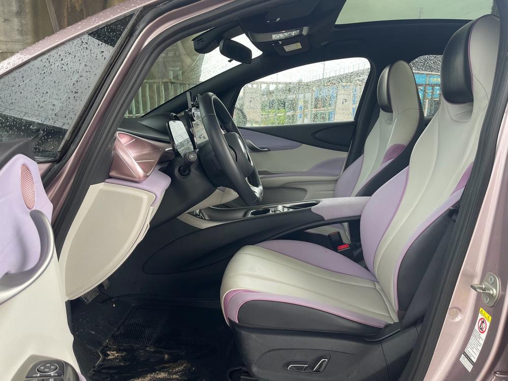BYD Dolphin