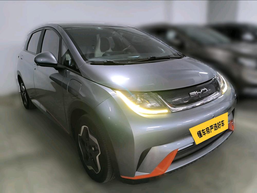 BYD Dolphin