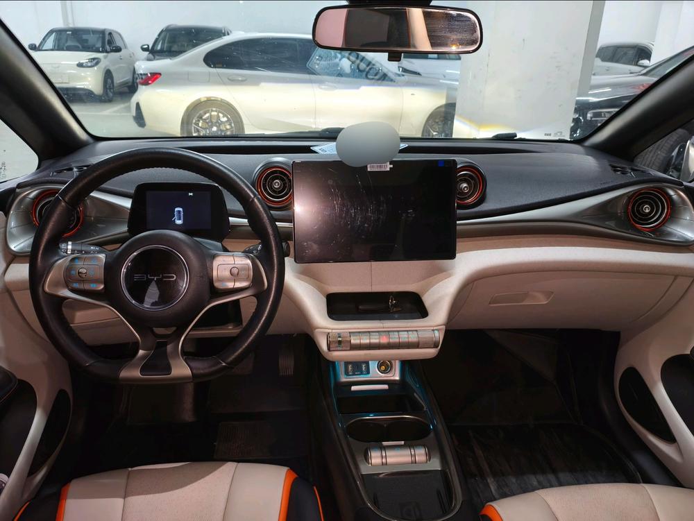 BYD Dolphin