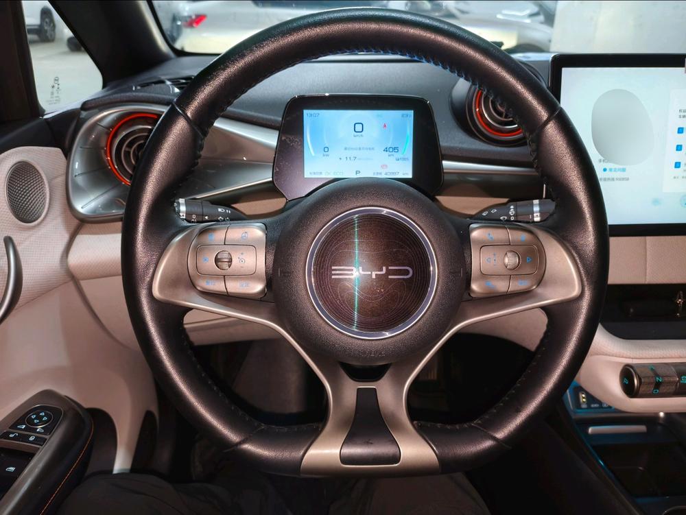 BYD Dolphin
