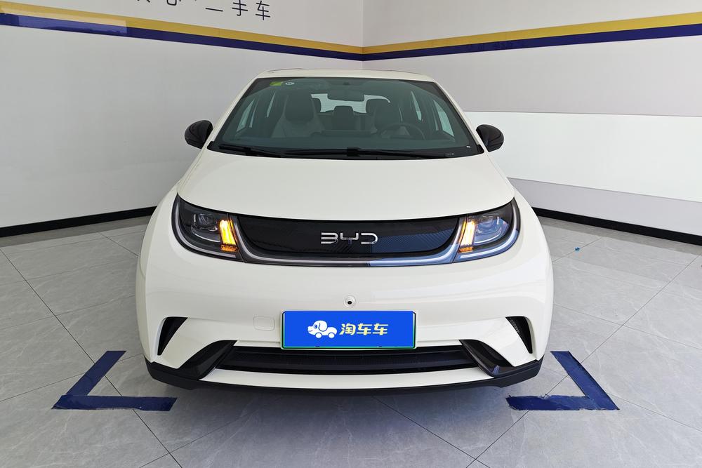 BYD Dolphin