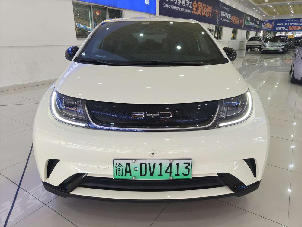 BYD Dolphin