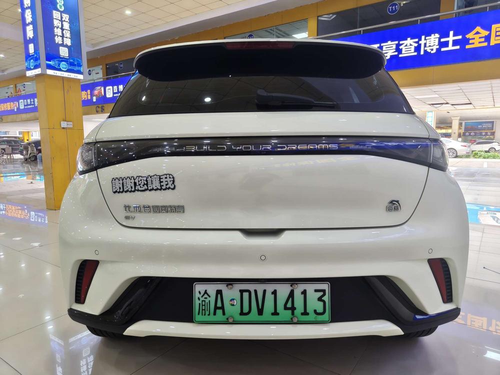 BYD Dolphin
