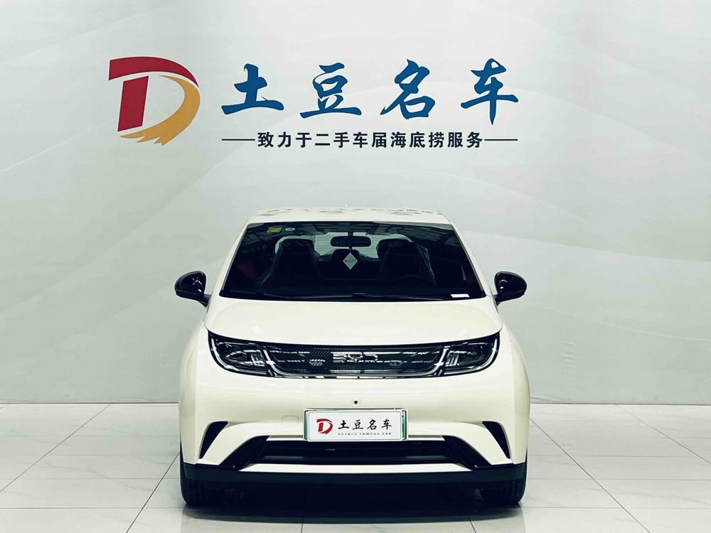 BYD Dolphin