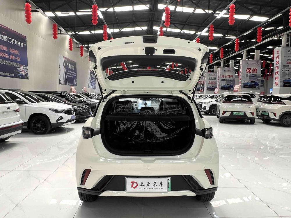 BYD Dolphin