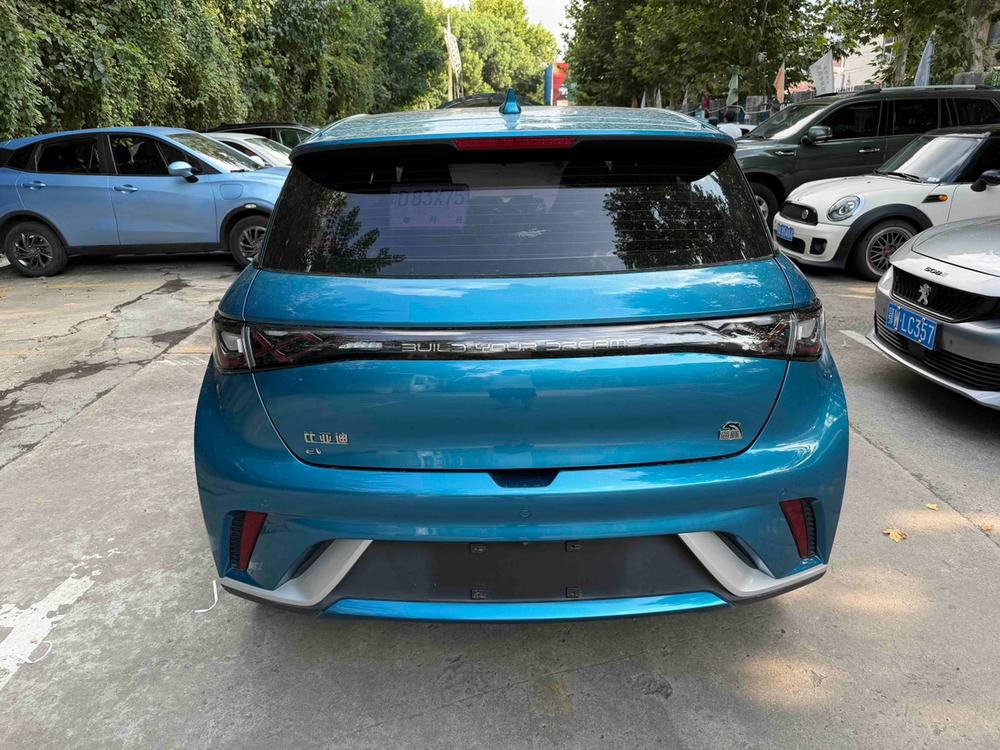 BYD Dolphin