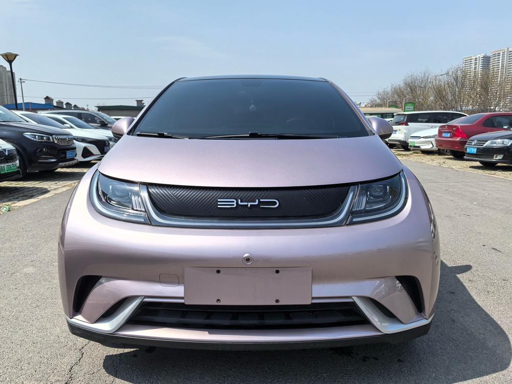 BYD Dolphin
