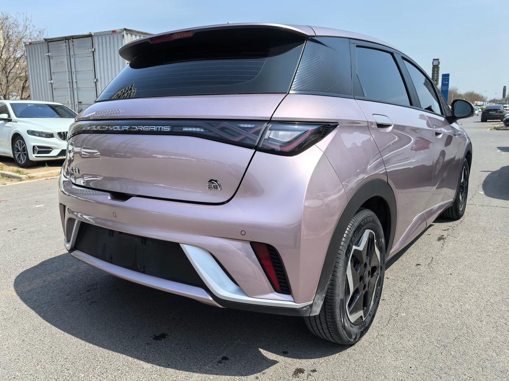 BYD Dolphin