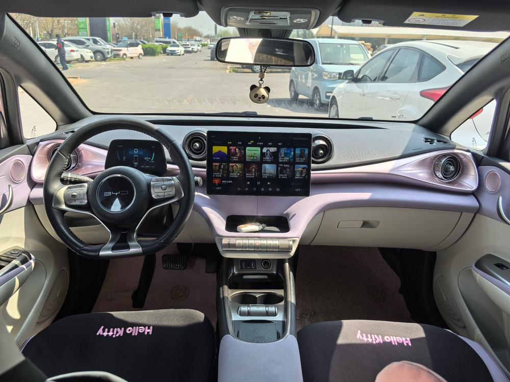 BYD Dolphin