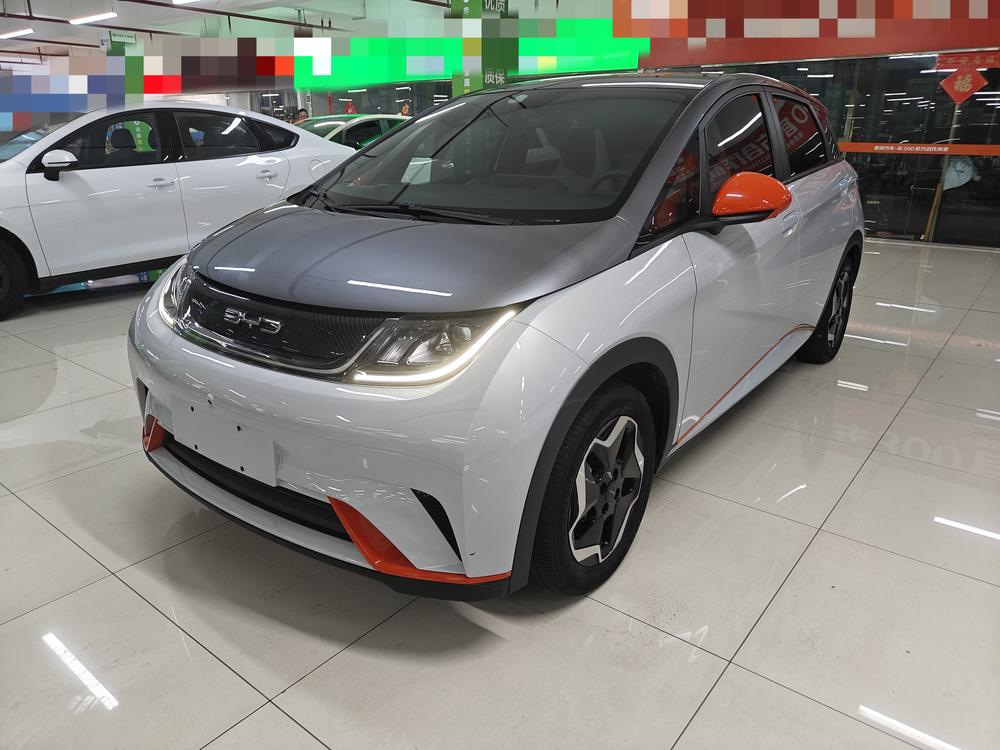 BYD Dolphin