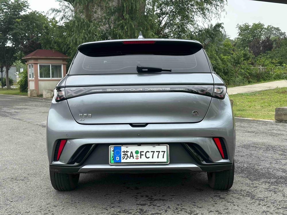 BYD Dolphin