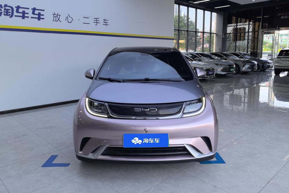 BYD Dolphin