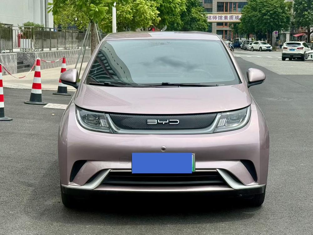 BYD Dolphin