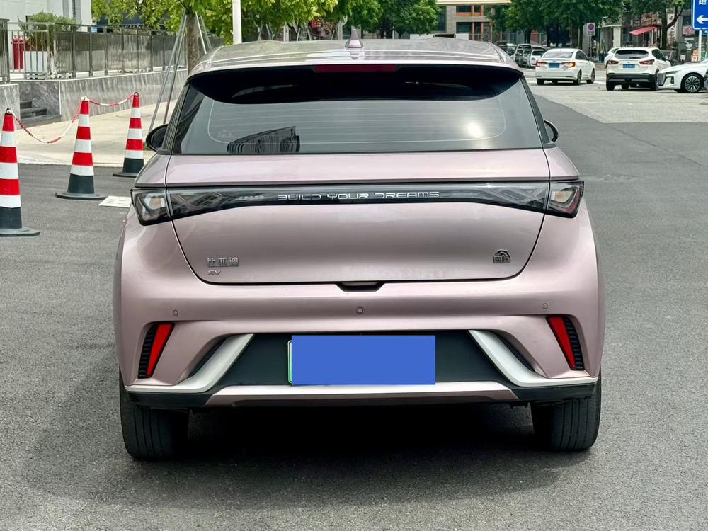 BYD Dolphin