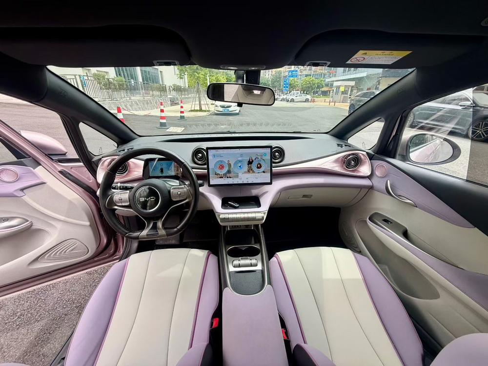 BYD Dolphin