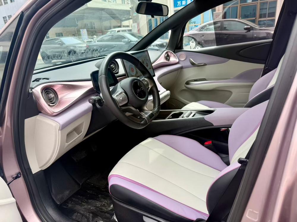 BYD Dolphin