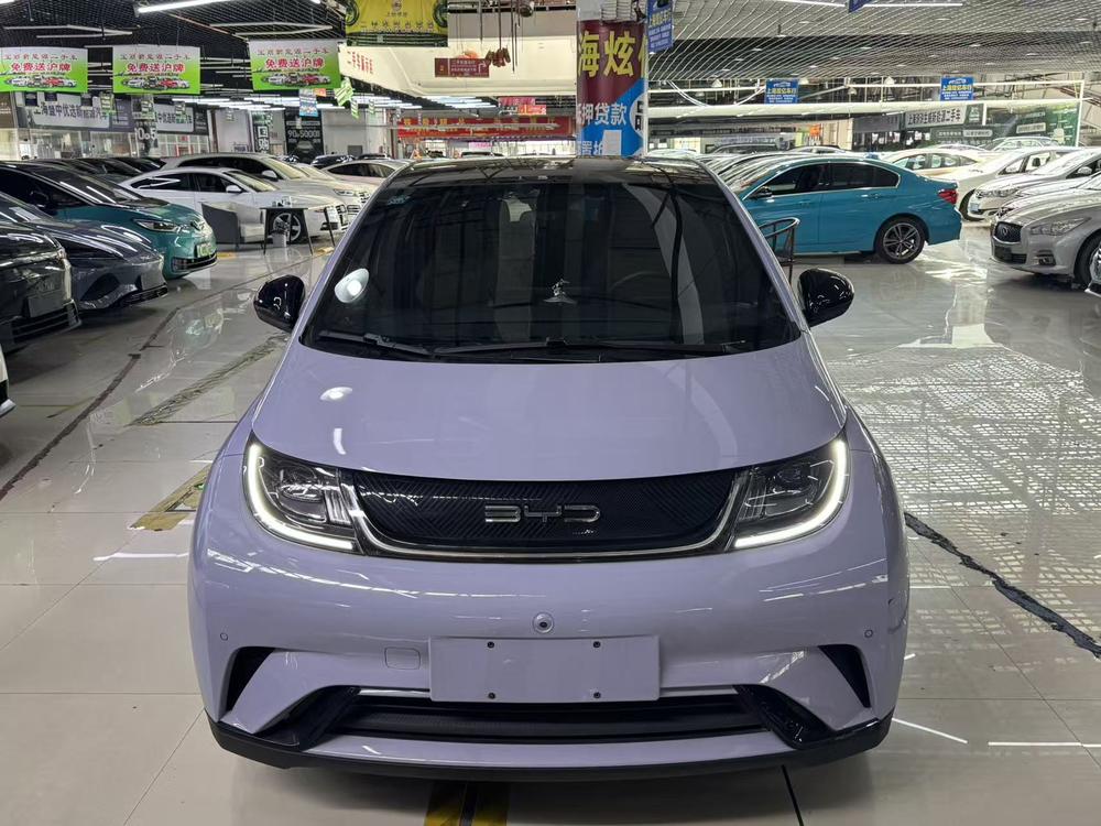 BYD Dolphin
