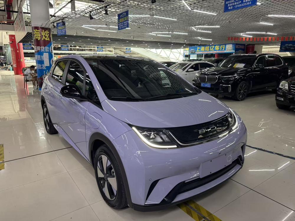 BYD Dolphin