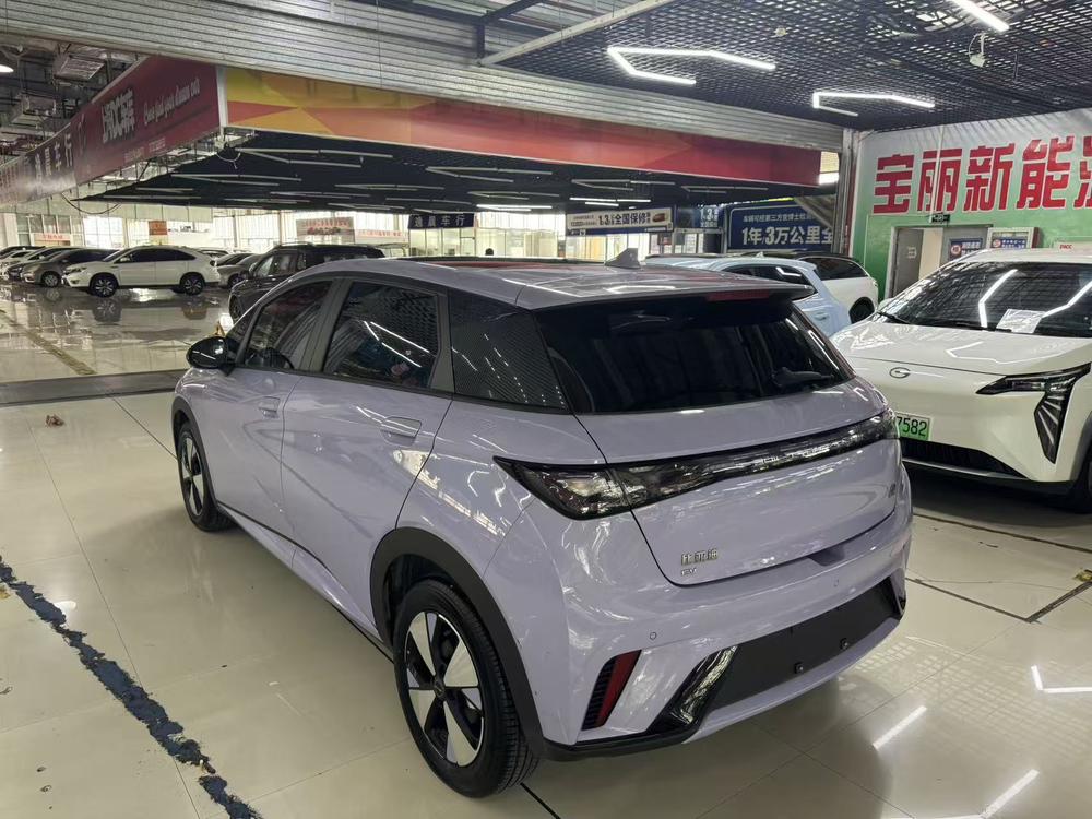 BYD Dolphin