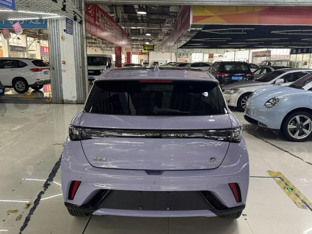 BYD Dolphin