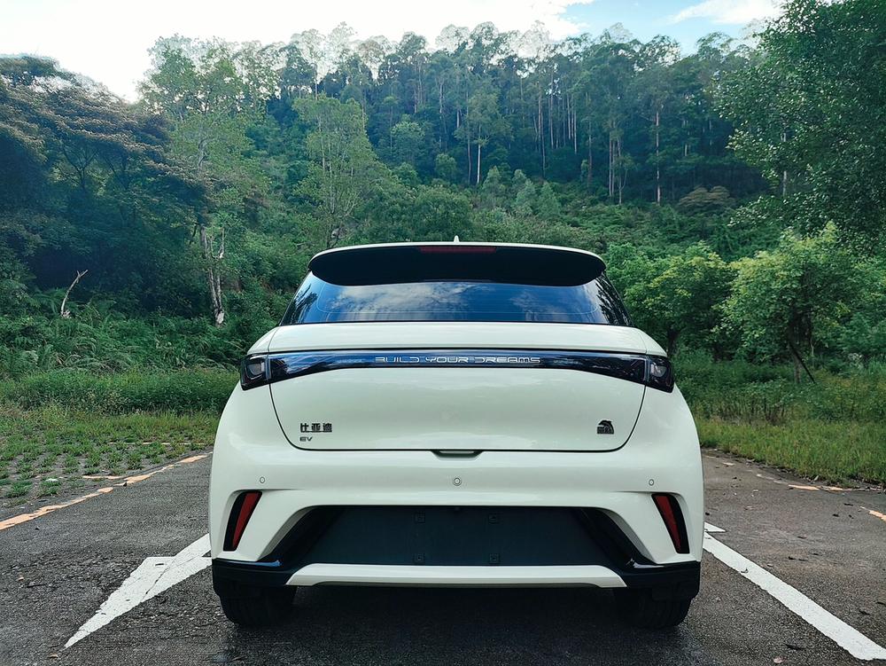 BYD Dolphin
