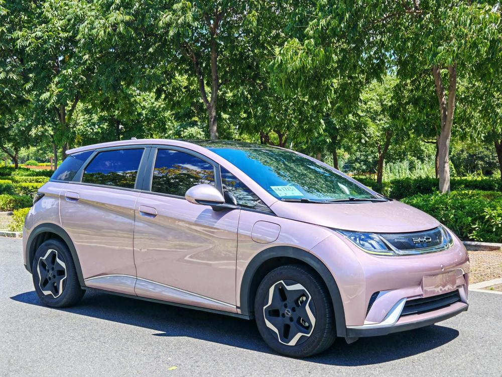 BYD Dolphin