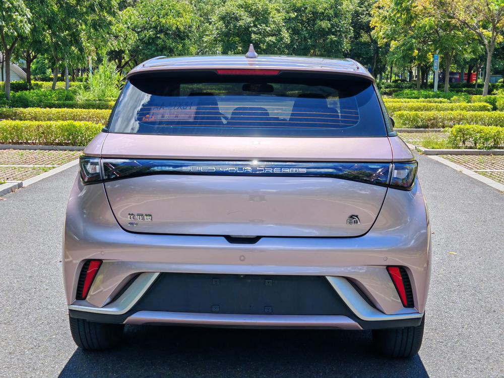 BYD Dolphin