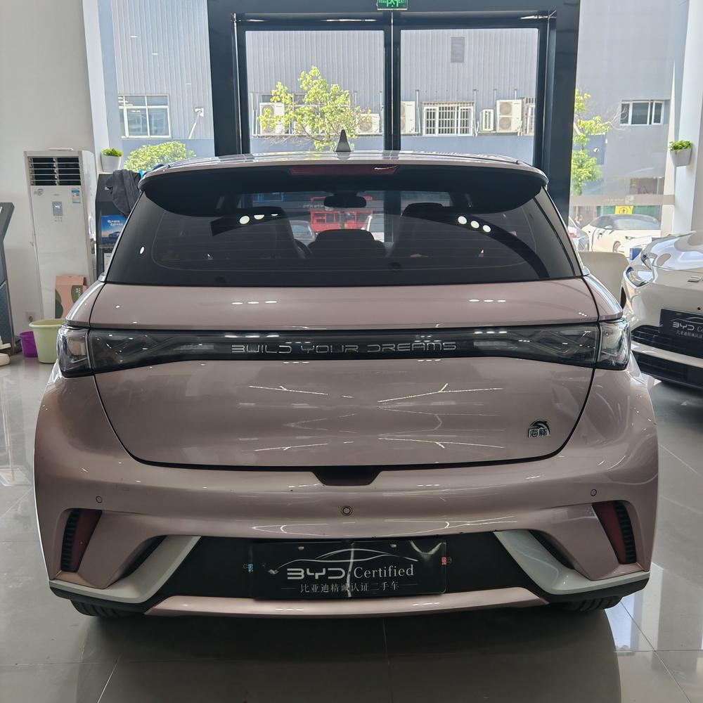 BYD Dolphin