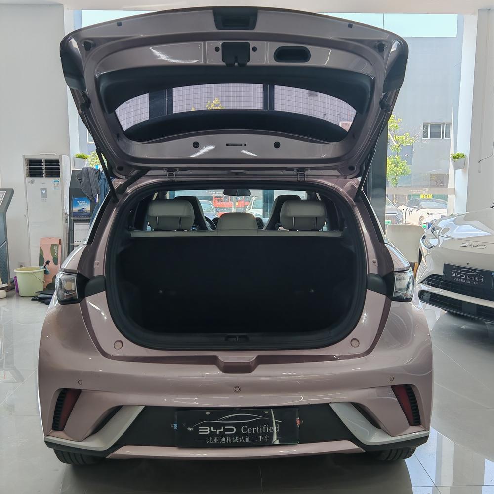 BYD Dolphin