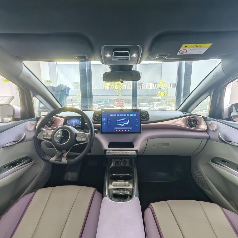 BYD Dolphin