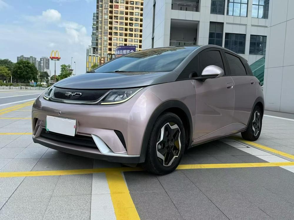 BYD Dolphin