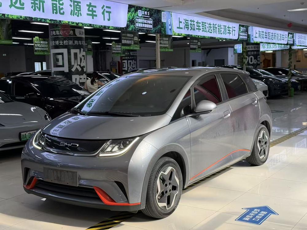 BYD Dolphin