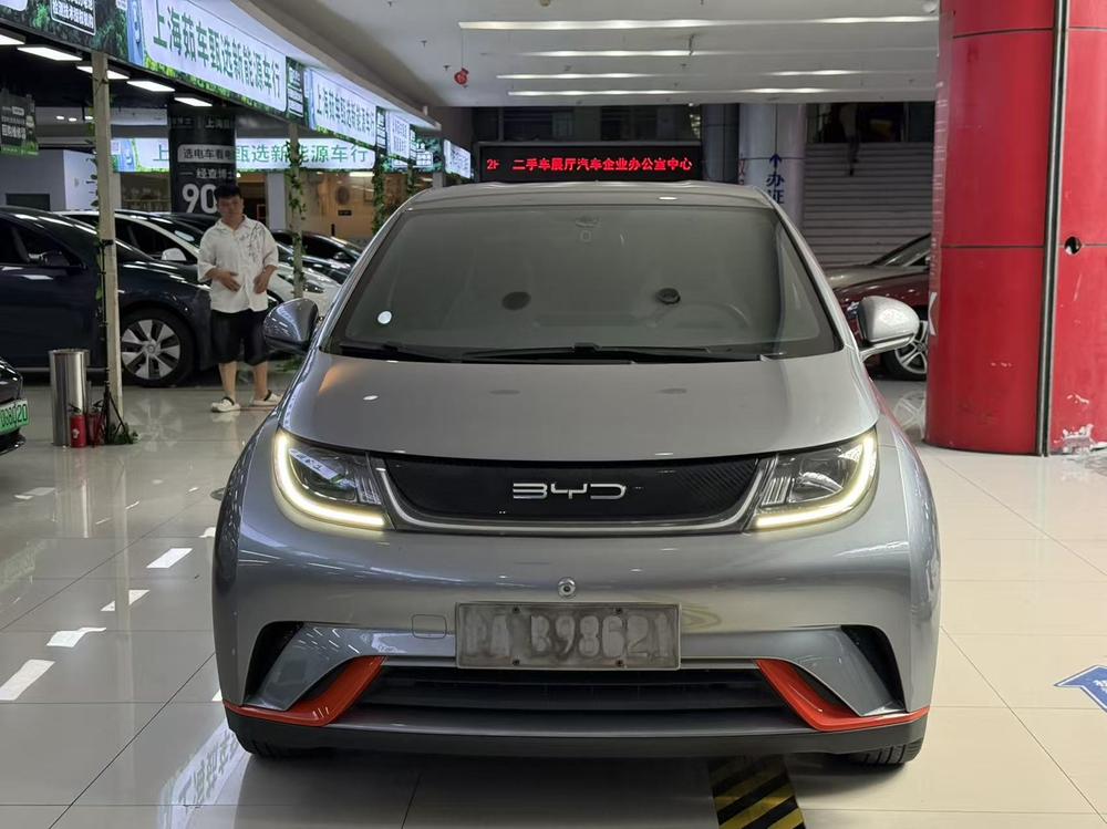 BYD Dolphin