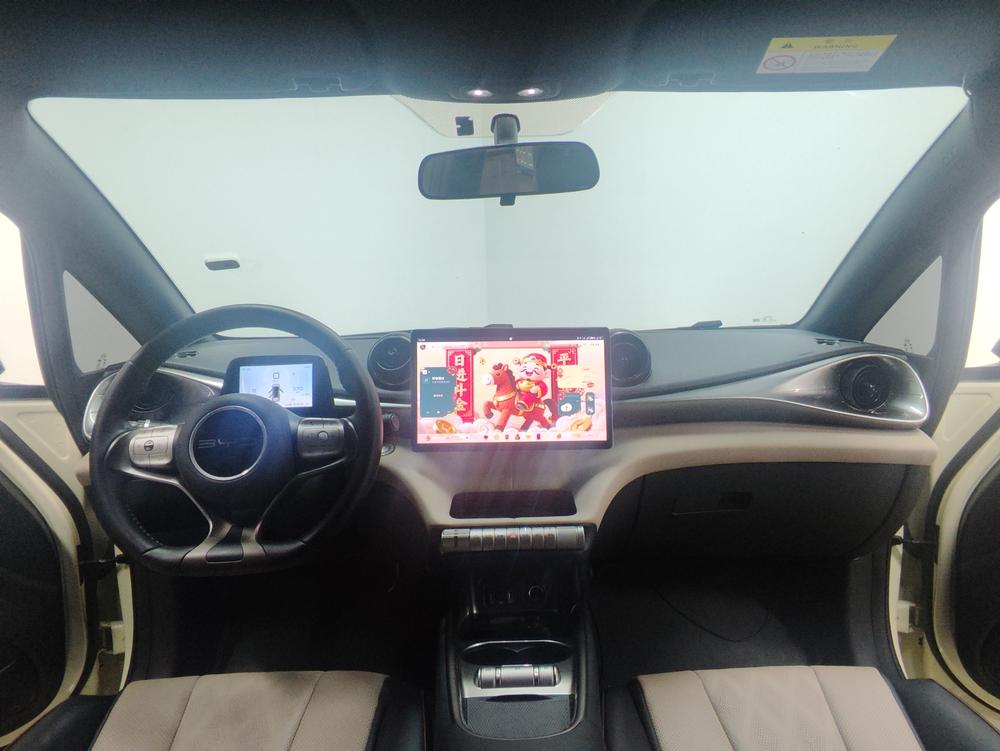 BYD Dolphin
