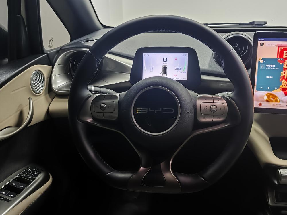 BYD Dolphin