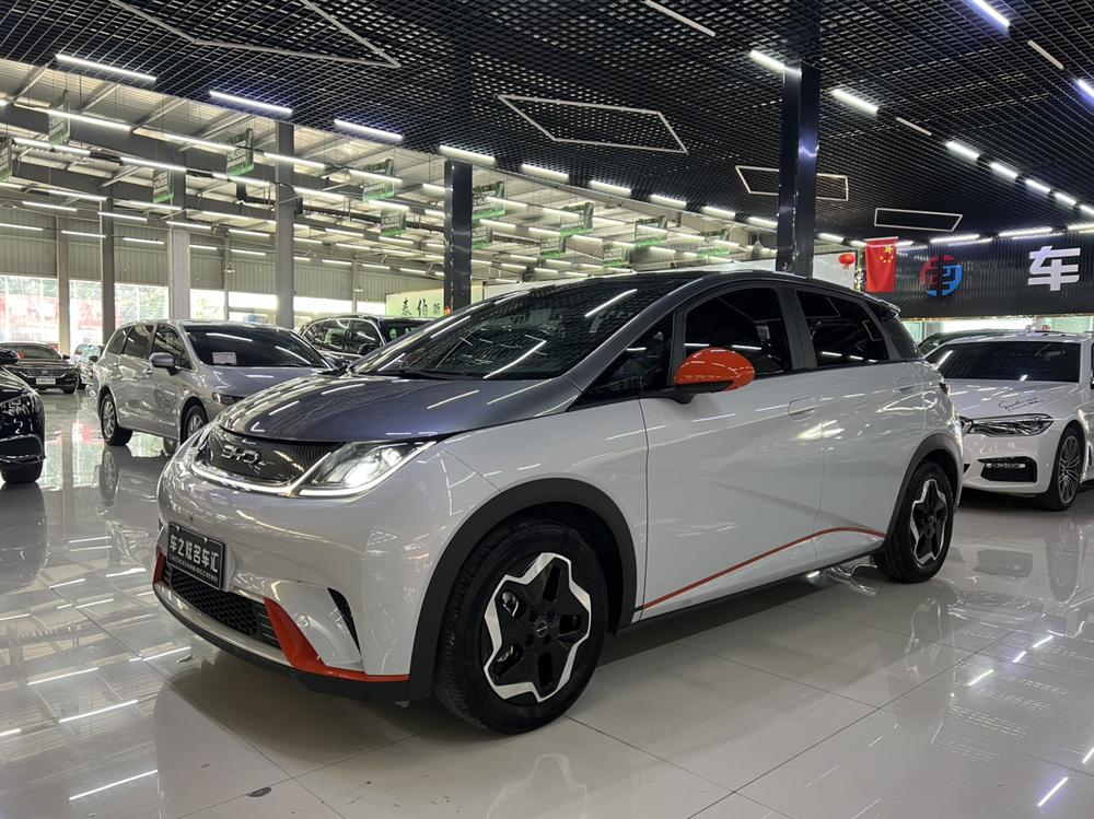 BYD Dolphin