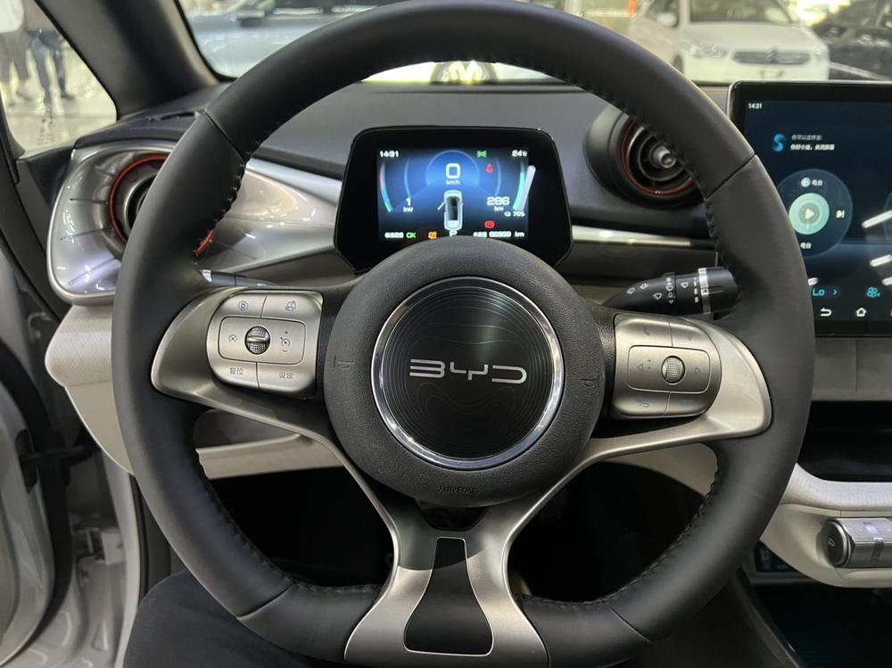 BYD Dolphin