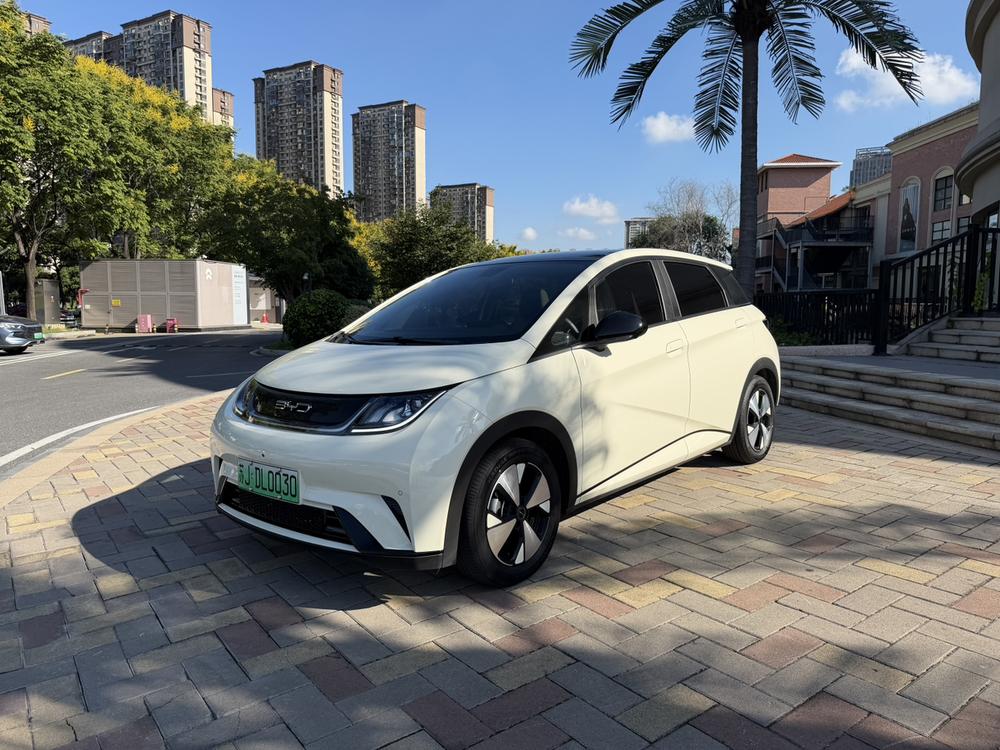 BYD Dolphin