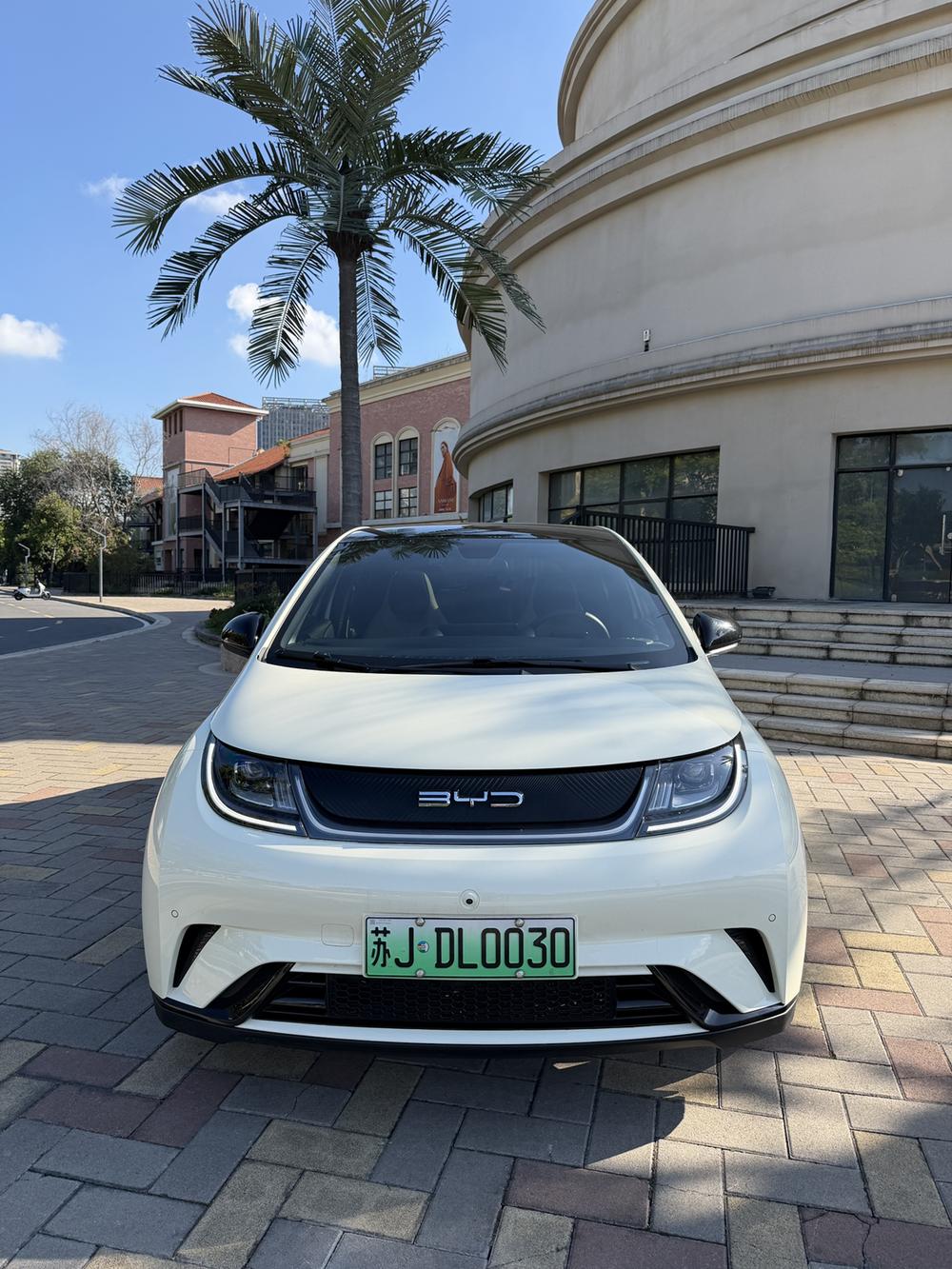 BYD Dolphin