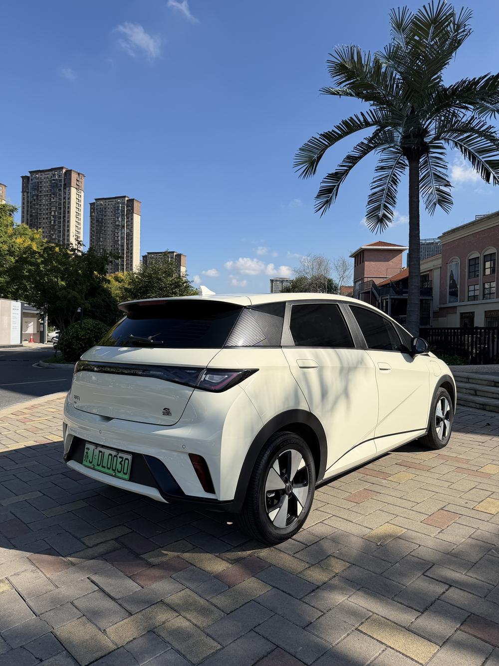 BYD Dolphin