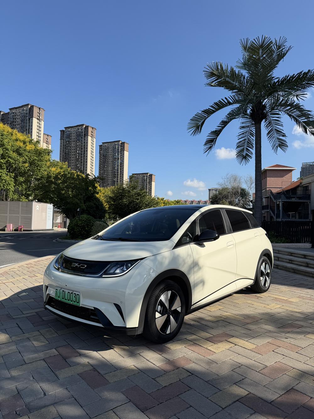 BYD Dolphin