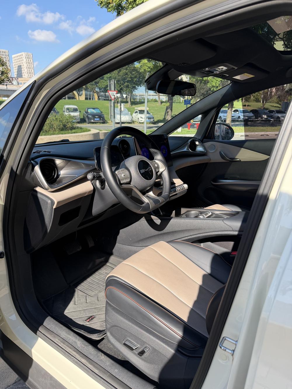 BYD Dolphin