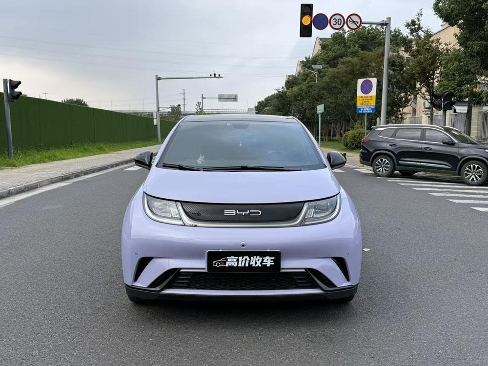 BYD Dolphin