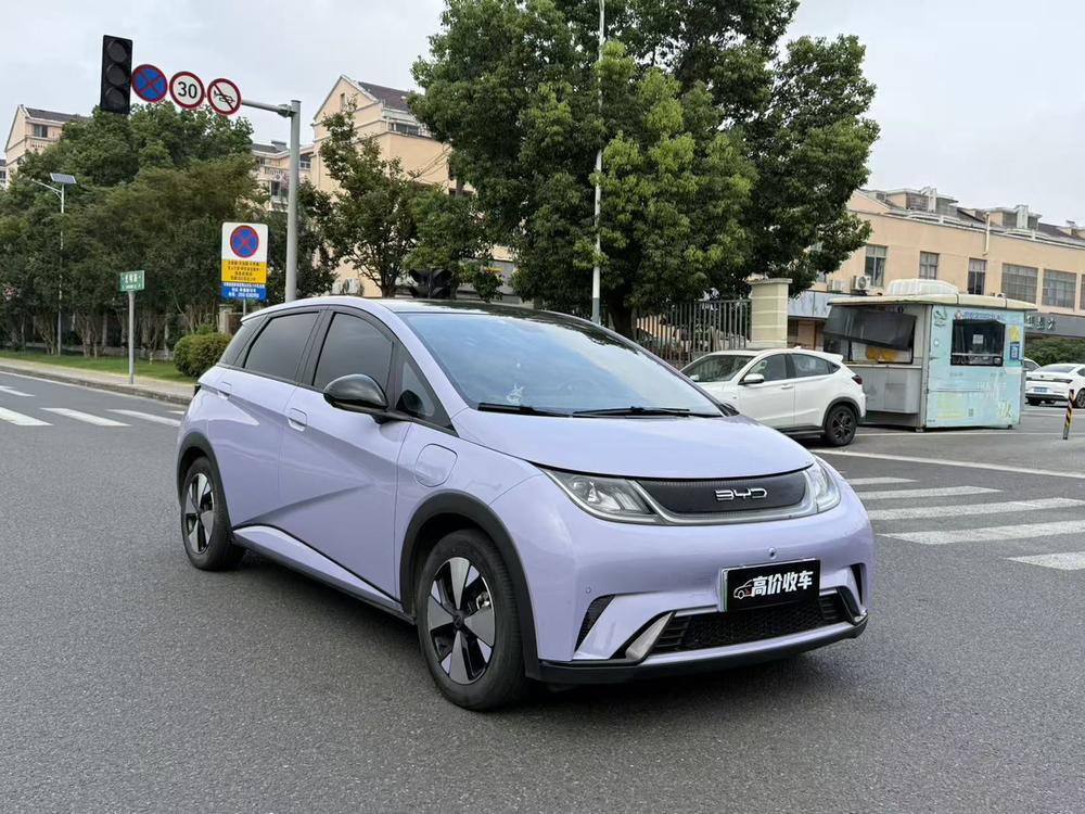 BYD Dolphin