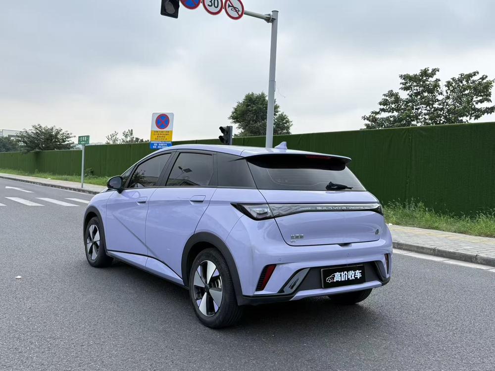 BYD Dolphin