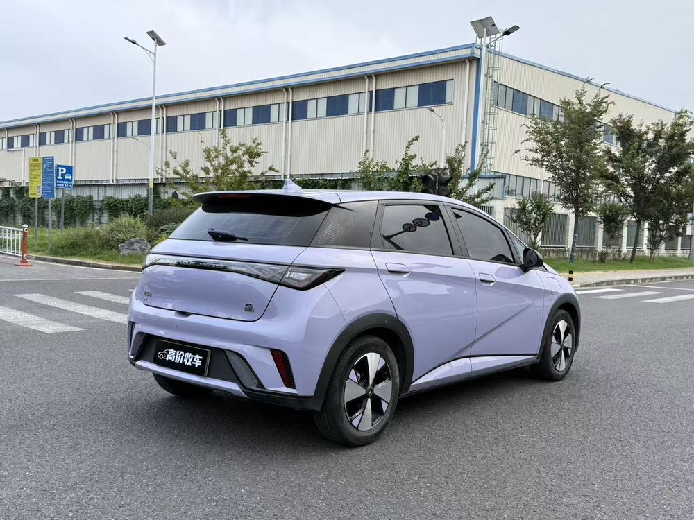 BYD Dolphin