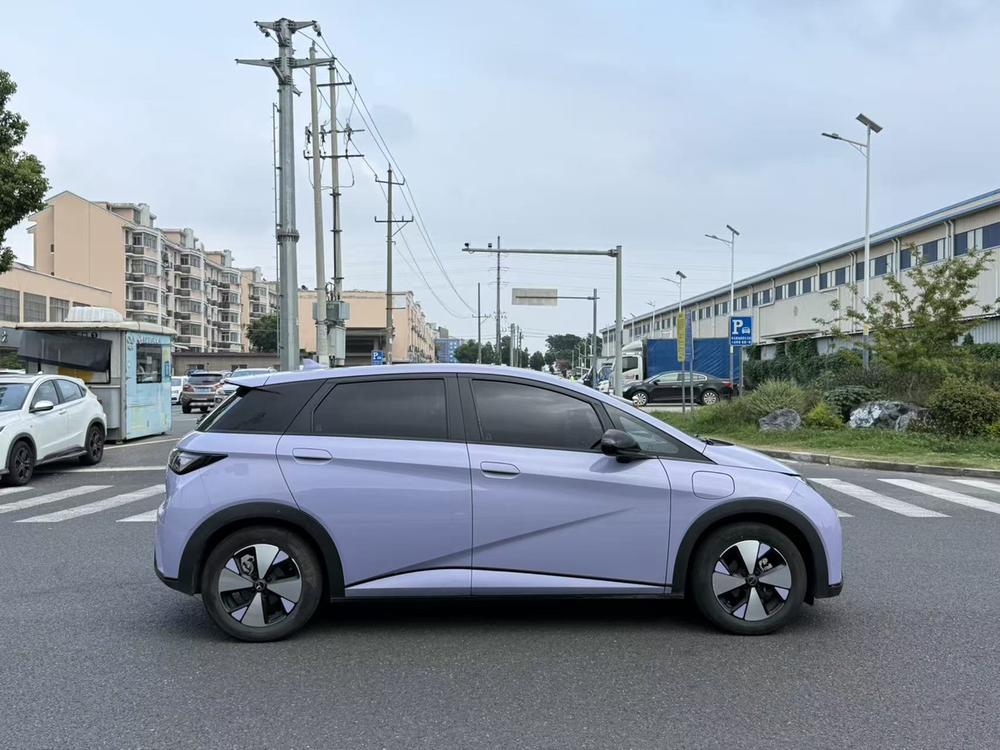 BYD Dolphin