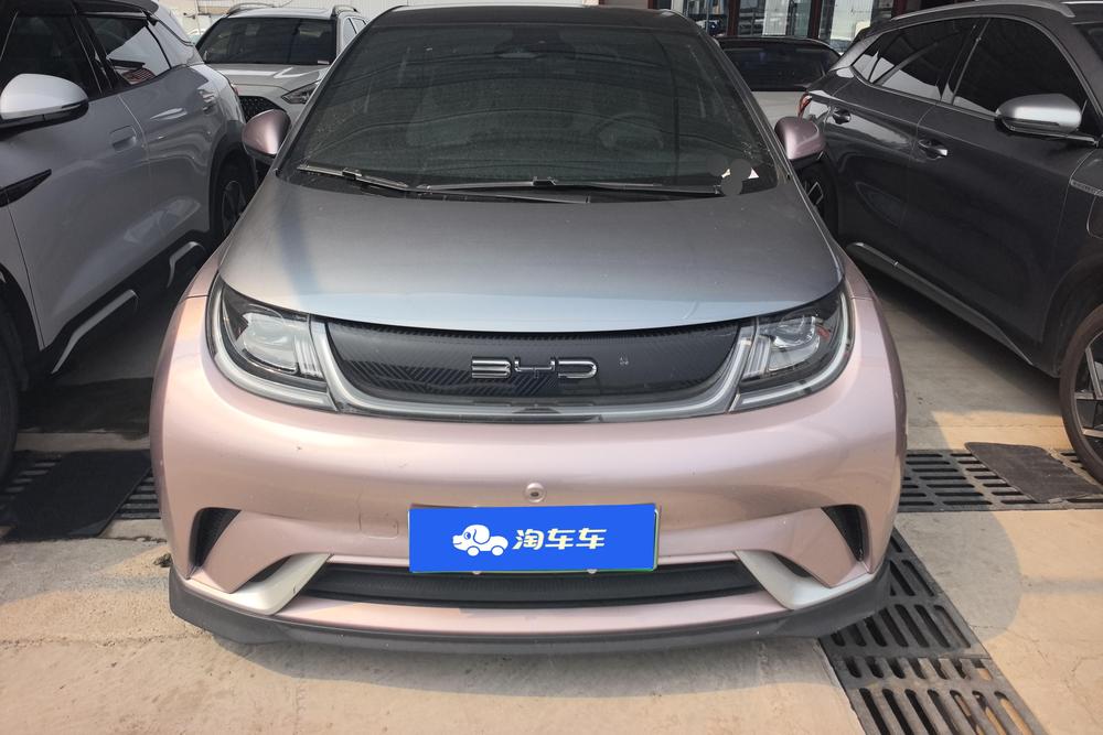BYD Dolphin
