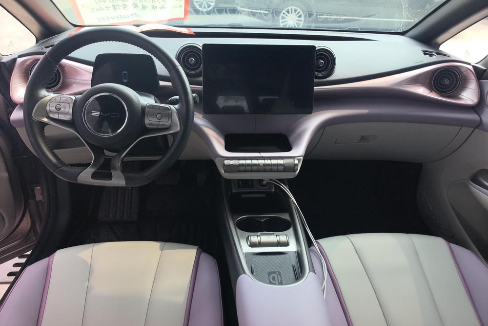 BYD Dolphin